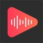 Reel Templates Maker:ReelsBeat